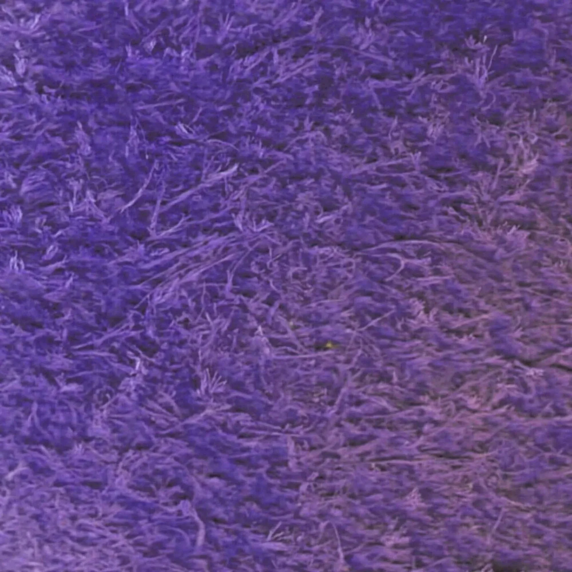 Lilac Suede Dye - Image 2