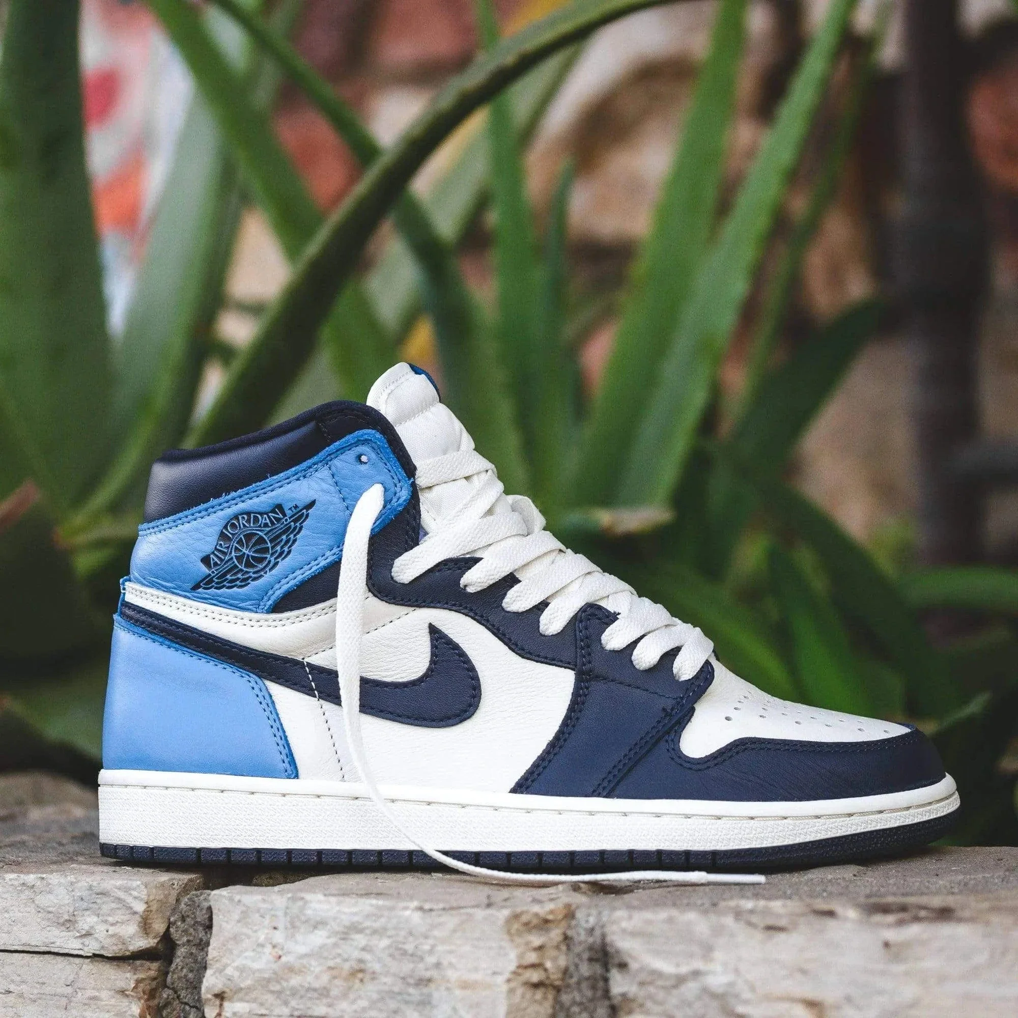 Sail Jordan 1 Replacement Shoelaces - Image 4